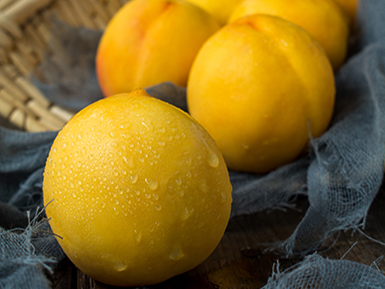 九游官方入口基地展示五